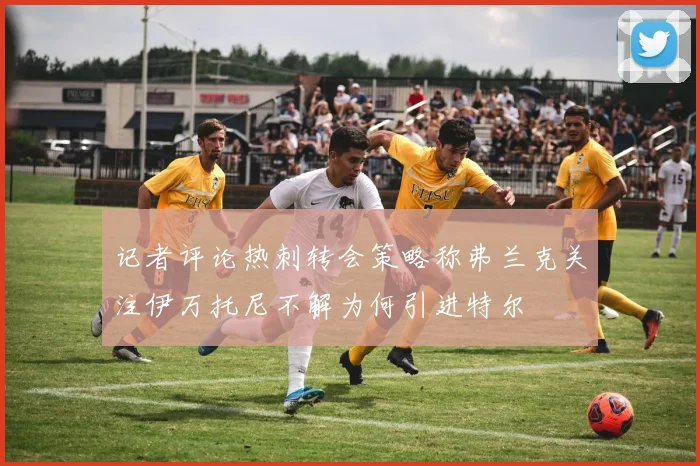 记者评论热刺转会策略称弗兰克关注伊万托尼不解为何引进特尔