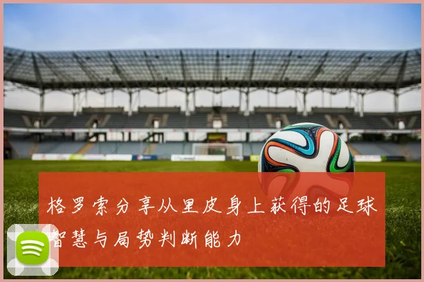 格罗索分享从里皮身上获得的足球智慧与局势判断能力