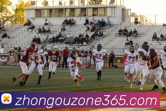 中欧体育官网APP 高清赛事图