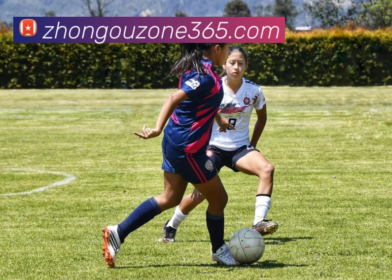 数据防护可视化